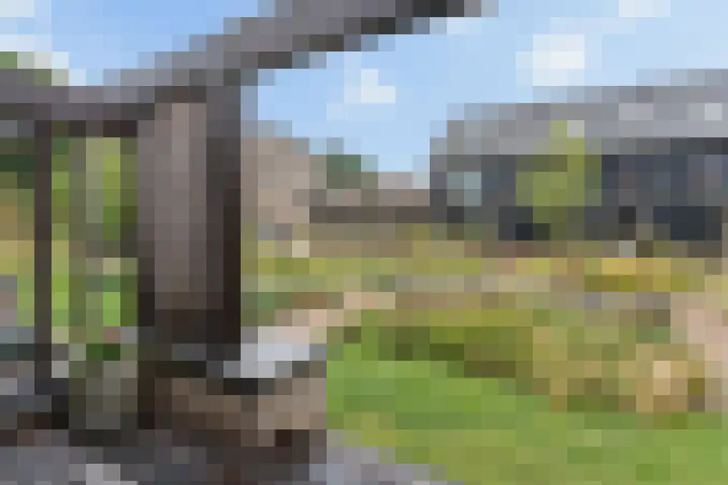 Bosbeshof 44 Ede thumbnail 46