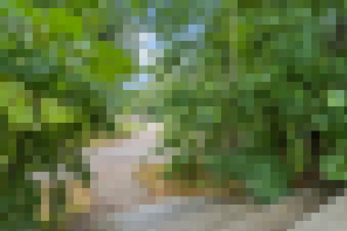 Bosbeshof 44 Ede thumbnail 60