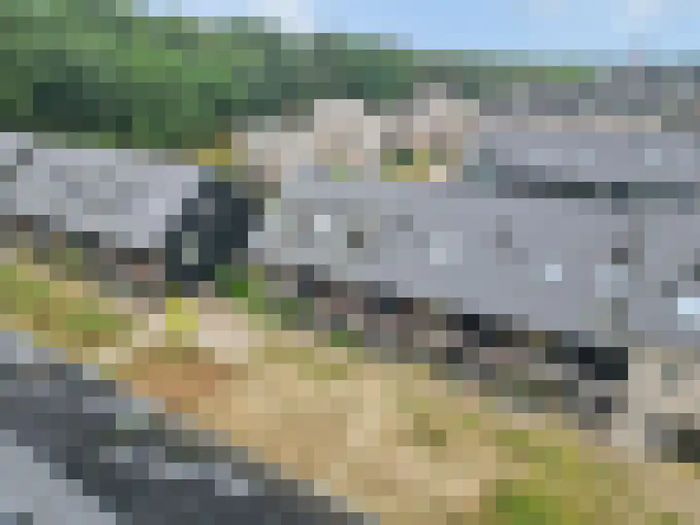 Bosbeshof 44 Ede thumbnail 63