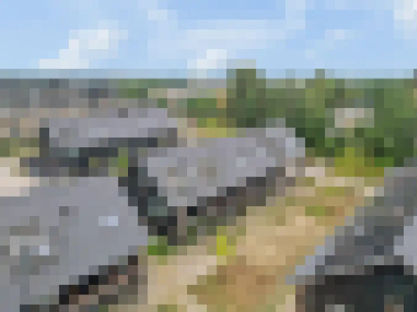 Bosbeshof 44 Ede thumbnail 64