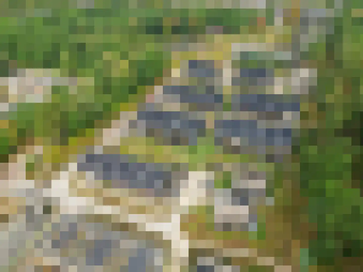 Bosbeshof 44 Ede thumbnail 66