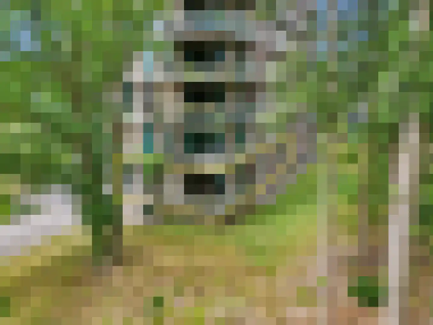 Bosbeshof 53 Ede