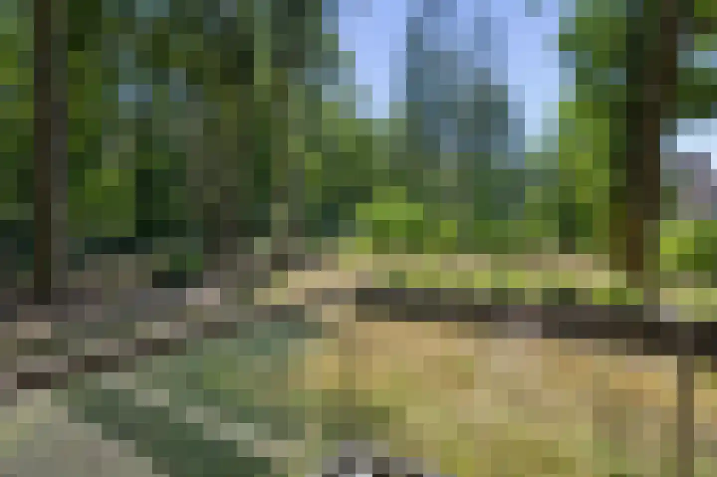 Bosbeshof 53 Ede thumbnail 14