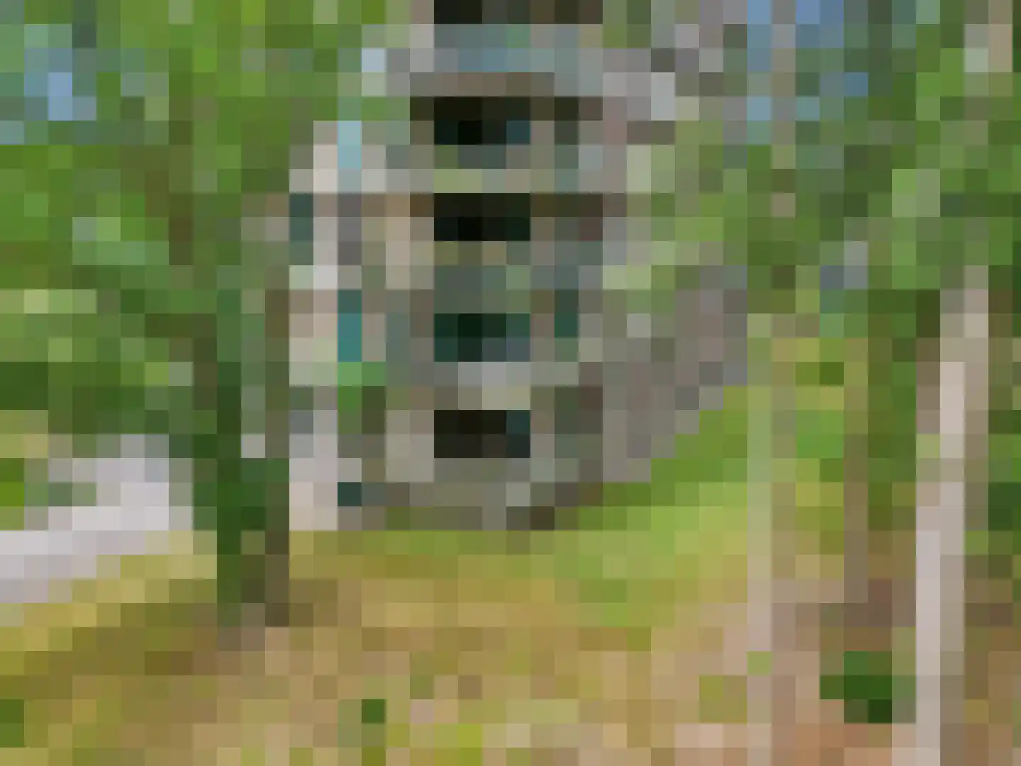 Bosbeshof 53 Ede thumbnail 33