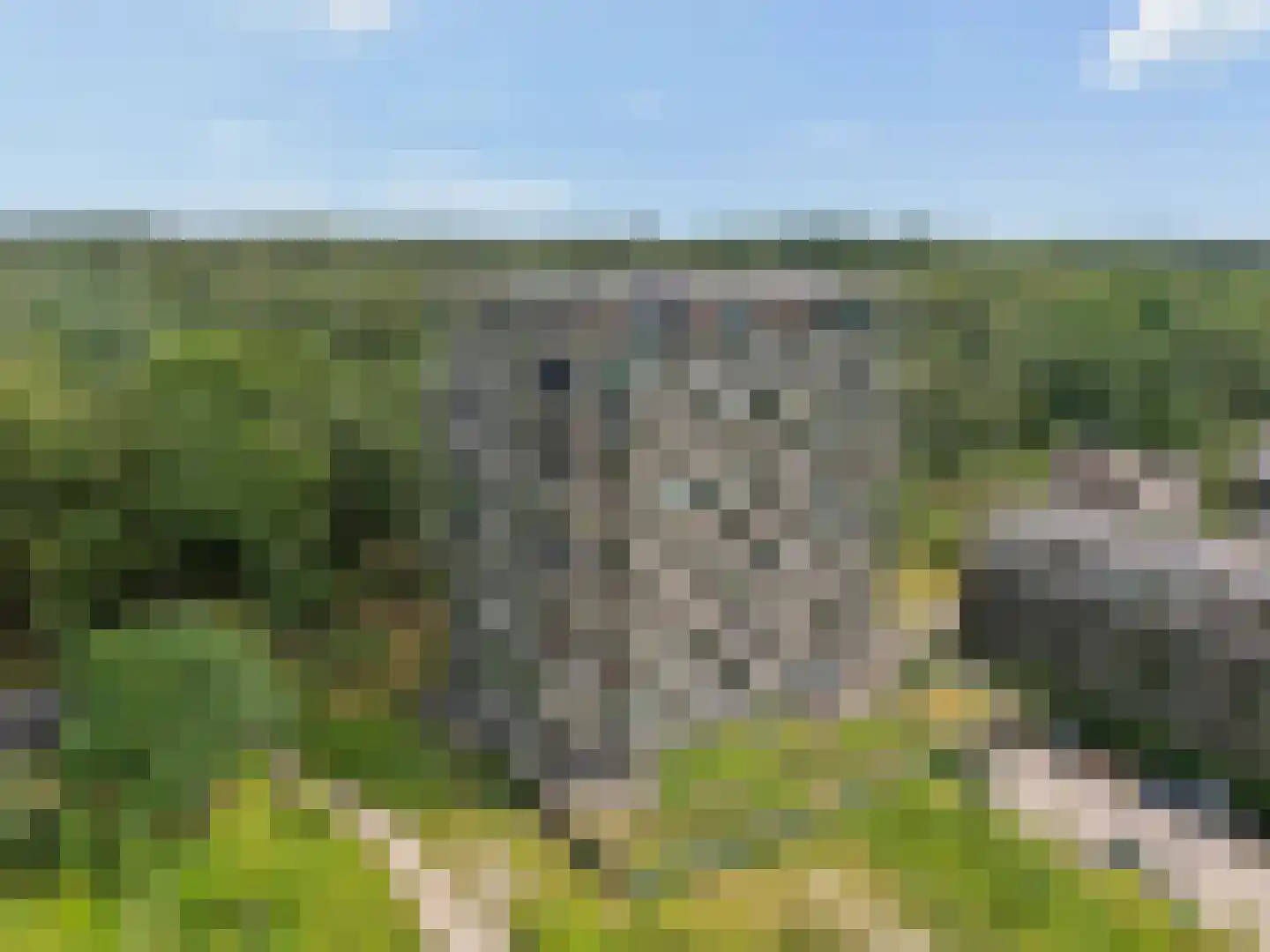 Bosbeshof 53 Ede thumbnail 37