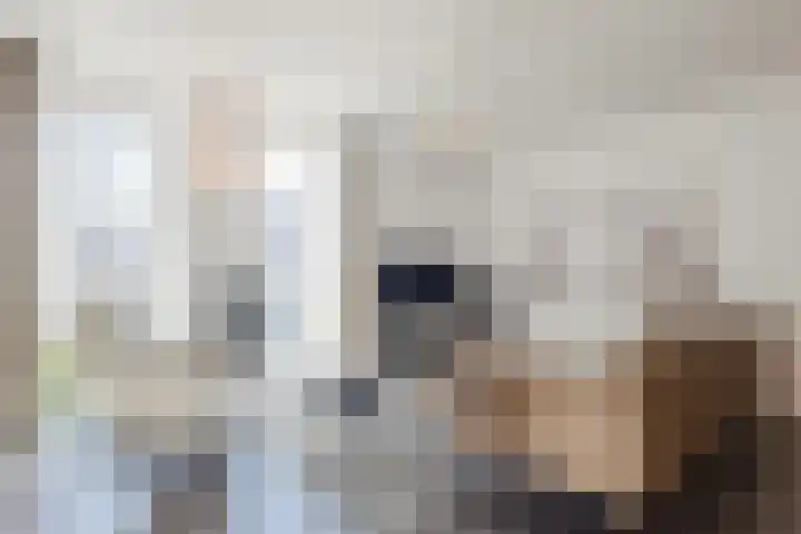 Bosbeshof 61 Ede thumbnail 10