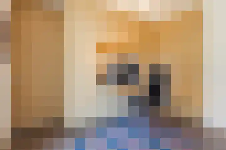 Bosbeshof 61 Ede thumbnail 31