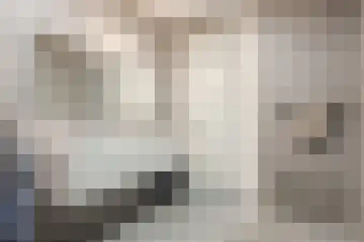Bosbeshof 61 Ede thumbnail 36