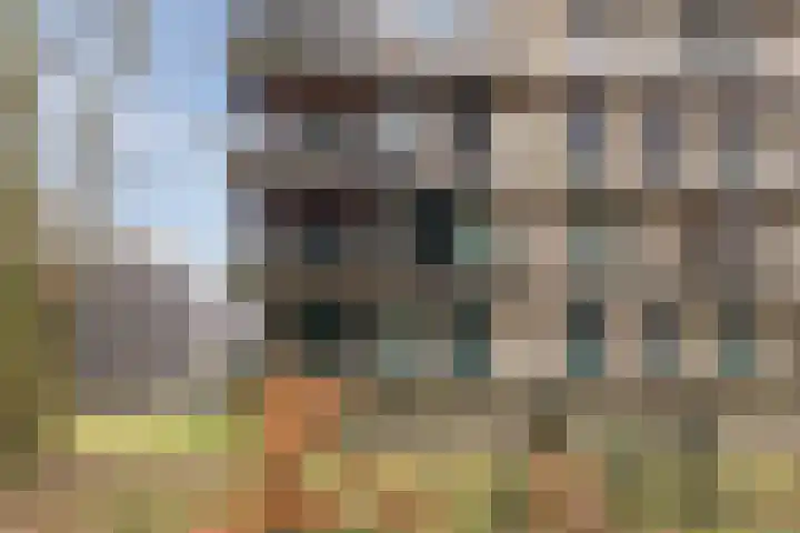 Bosbeshof 61 Ede thumbnail 45