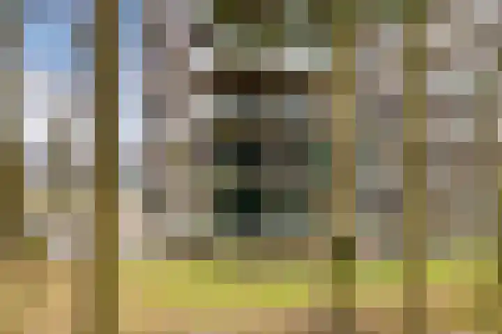 Bosbeshof 61 Ede thumbnail 5