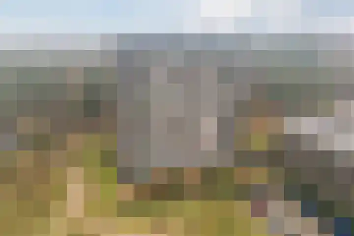 Bosbeshof 61 Ede thumbnail 6