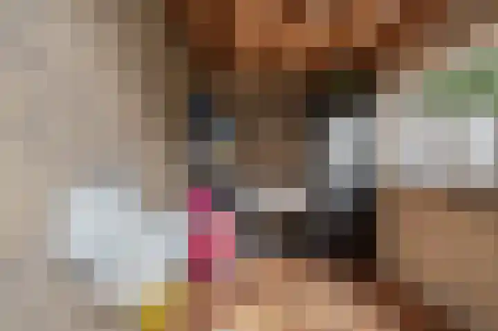 Bosbeslaan 20 Valkenswaard thumbnail 31