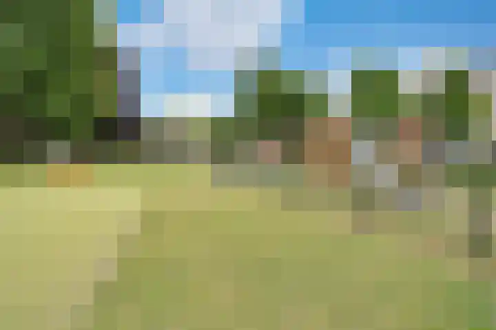Bosbeslaan 20 Valkenswaard thumbnail 34