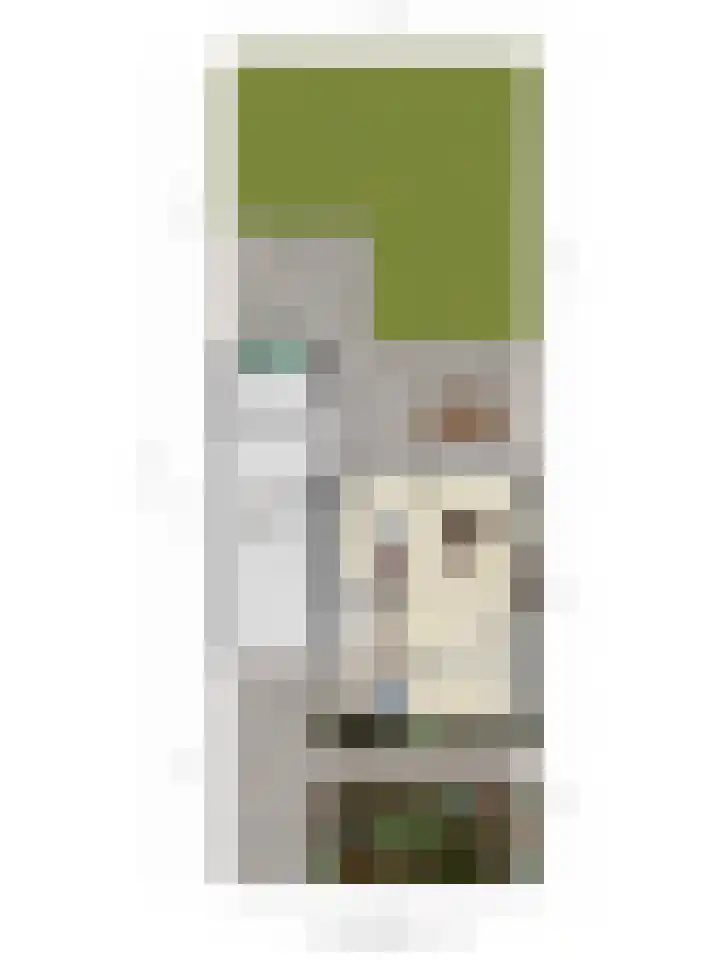 Bosbeslaan 20 Valkenswaard thumbnail 38