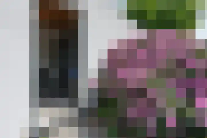 Bosbesstraat 1 Nijmegen thumbnail 23