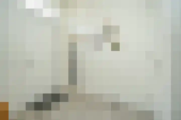 Bosbesstraat 1 Nijmegen thumbnail 5