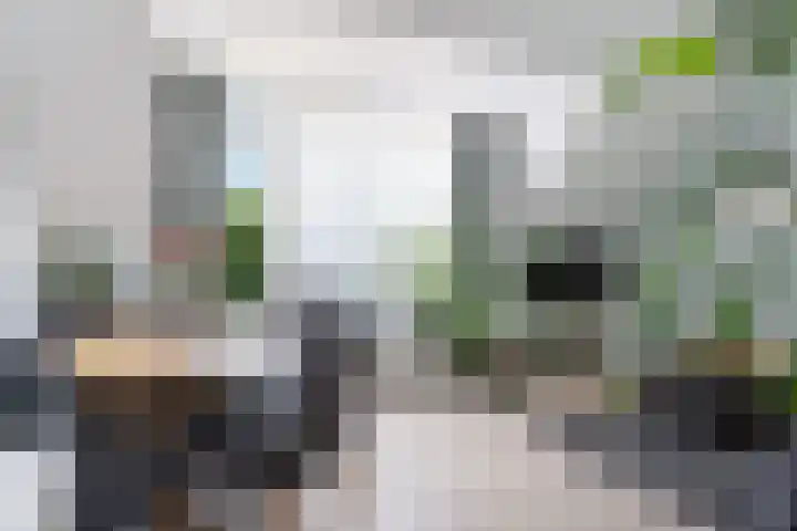 Bosbesstraat 10 B Nijmegen thumbnail 5