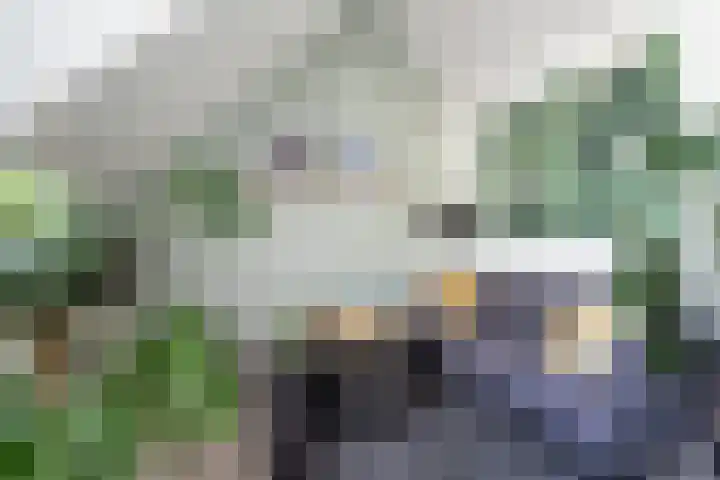 Bosbesstraat 10 B Nijmegen thumbnail 7