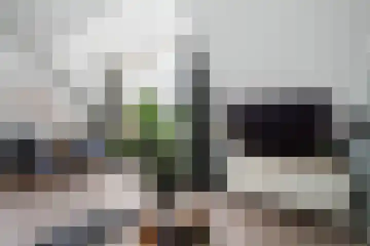 Bosbesstraat 10 B Nijmegen thumbnail 8