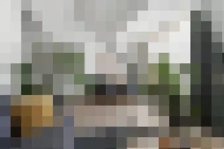 Bosbesstraat 10 B Nijmegen thumbnail 9