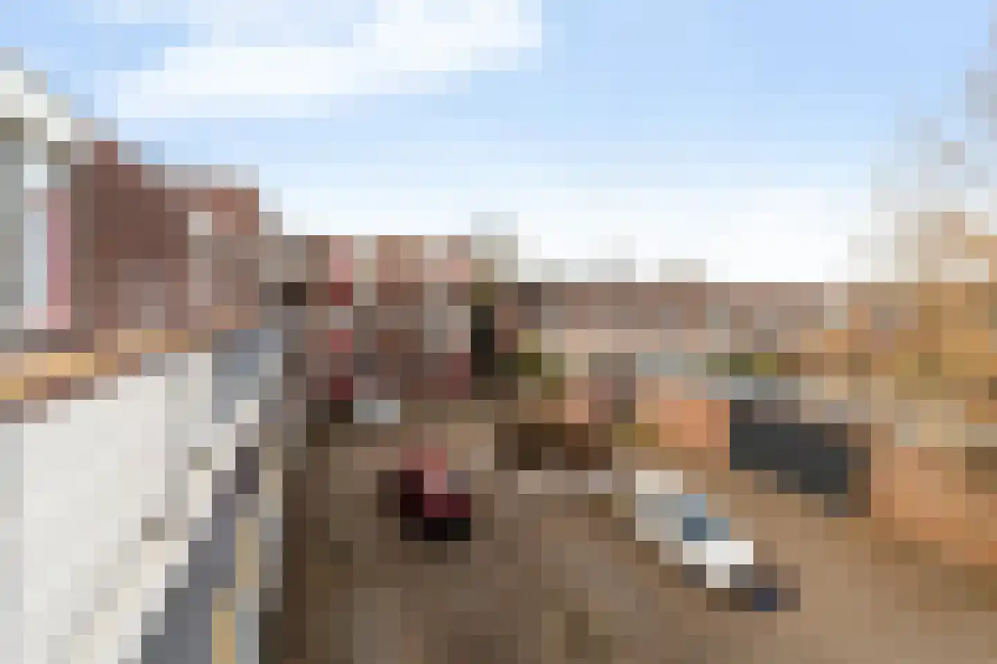 Bosbesstraat 10 Nijmegen thumbnail 23