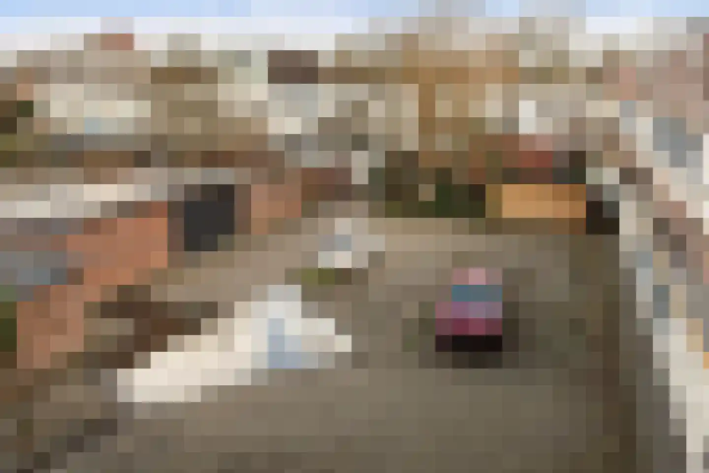 Bosbesstraat 10 Nijmegen thumbnail 24