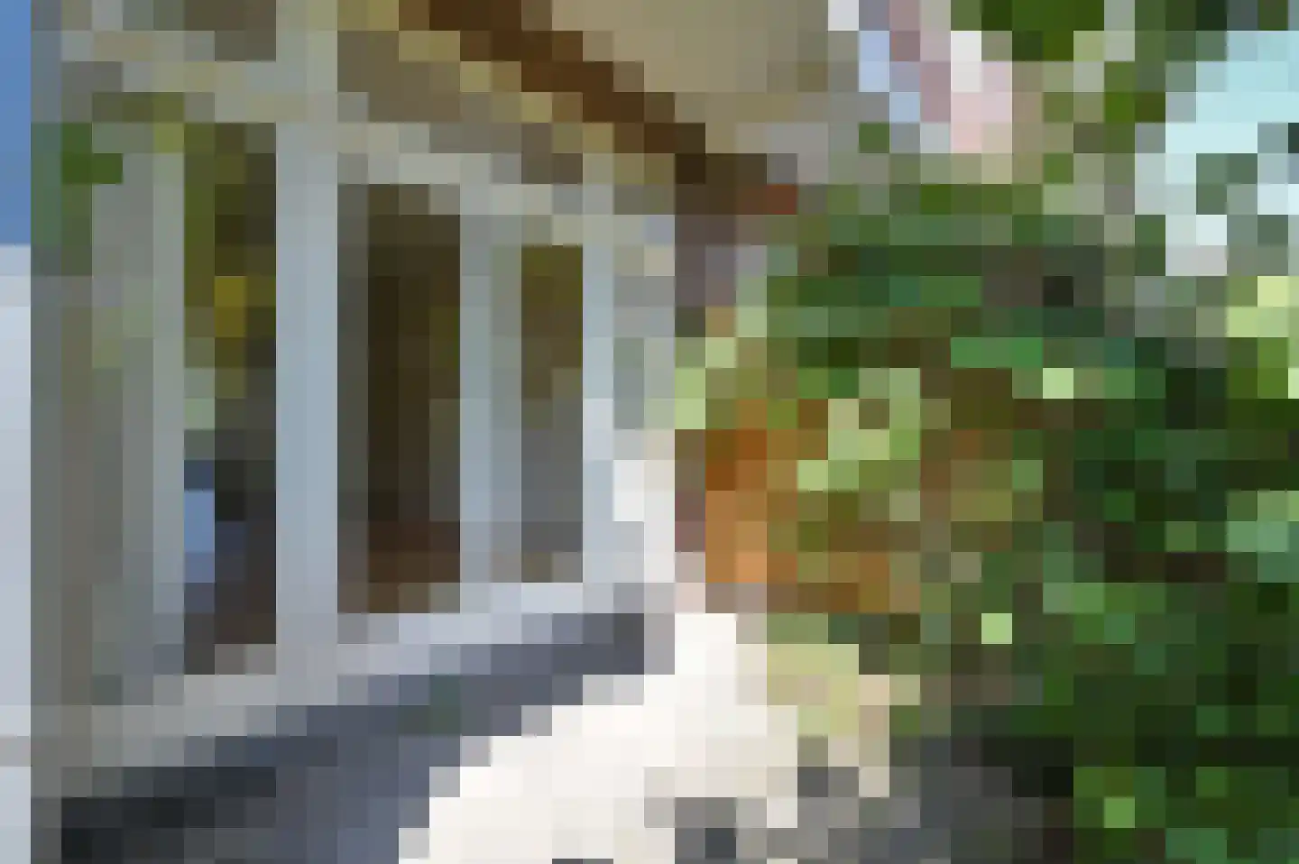 Bosbesstraat 112 Den Haag thumbnail 22