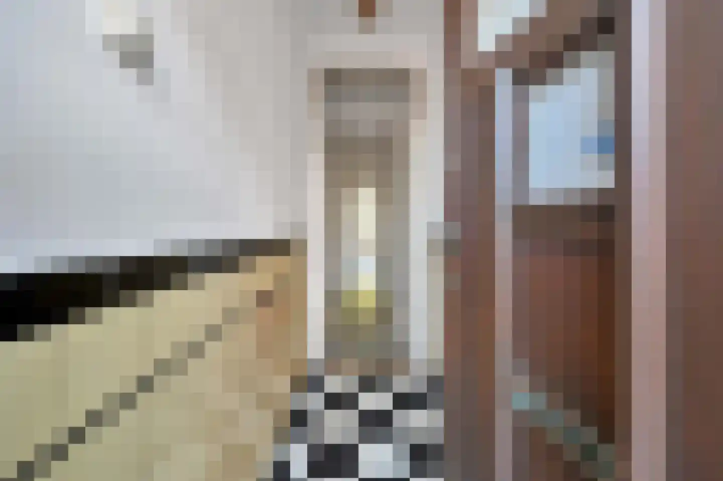Bosbesstraat 112 Den Haag thumbnail 9