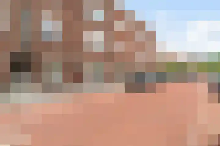 Bosbesstraat 137 Den Haag thumbnail 28
