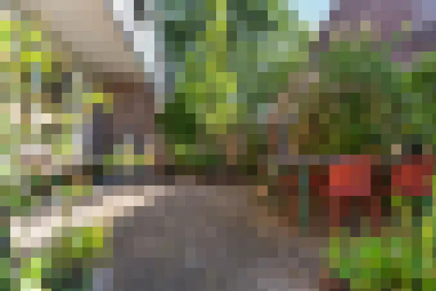 Bosbesstraat 21 Nijmegen thumbnail 29