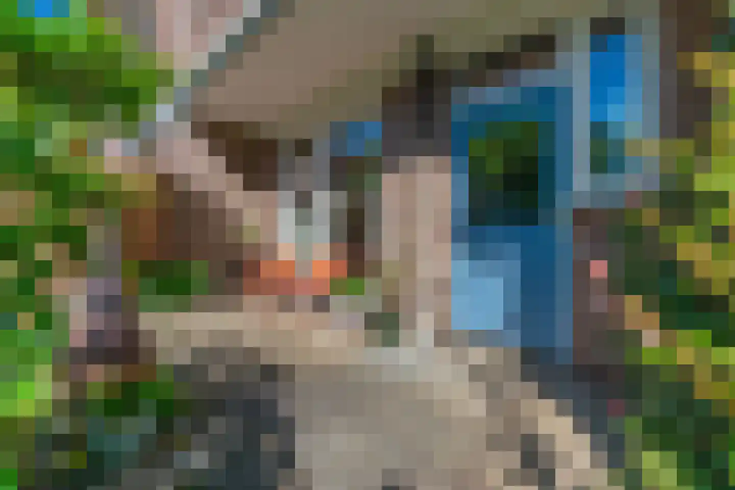 Bosbesstraat 21 Nijmegen thumbnail 33