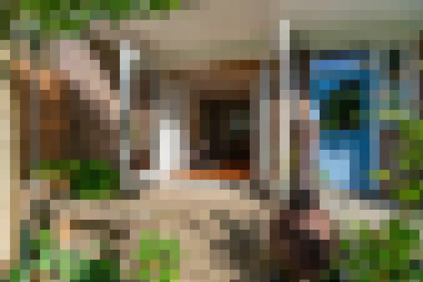 Bosbesstraat 21 Nijmegen thumbnail 34