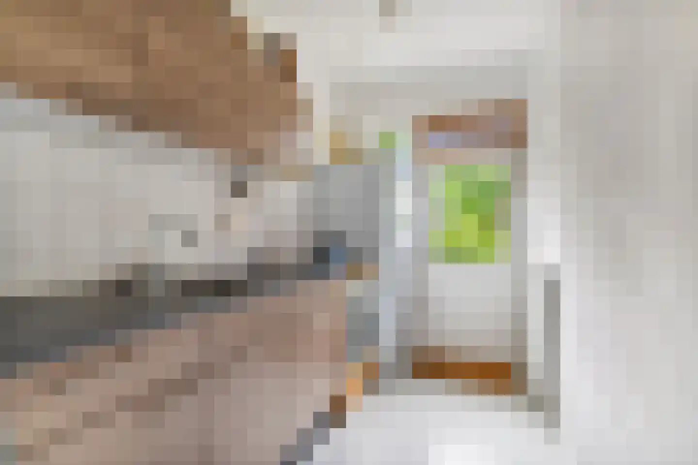 Bosbesstraat 21 Nijmegen thumbnail 4