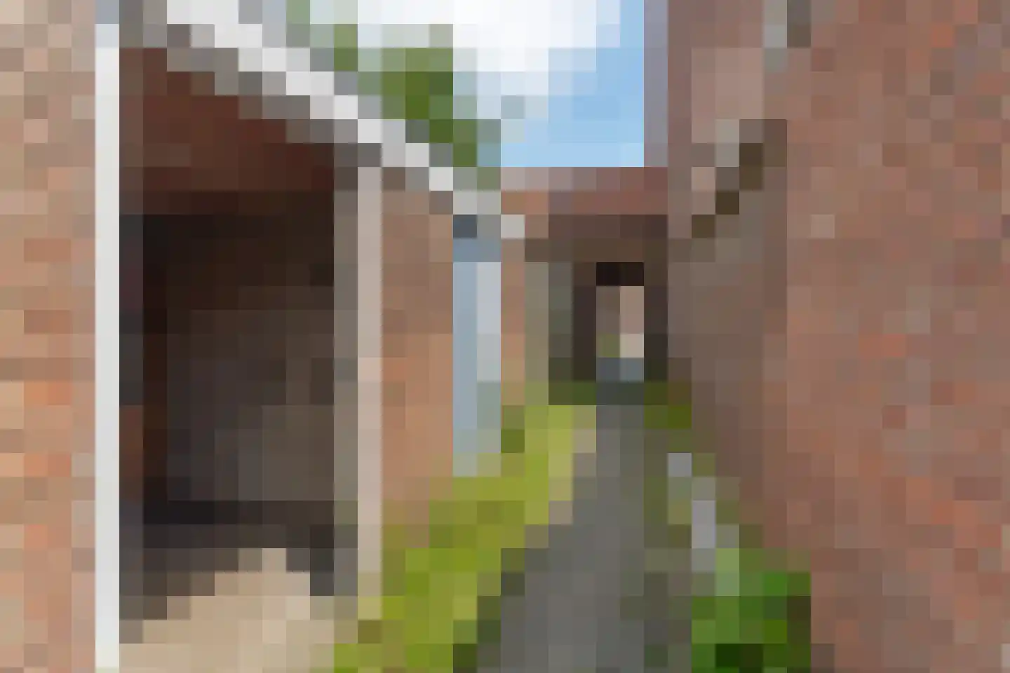 Bosbesstraat 43 Nijmegen thumbnail 35