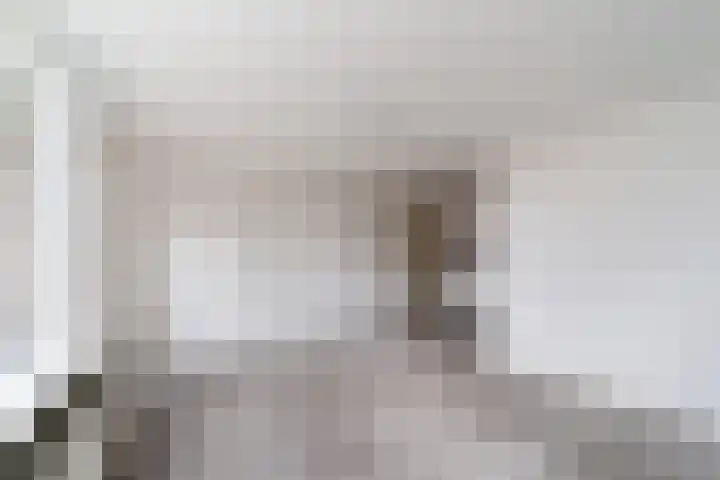 Bosbesstraat 6 A Nijmegen thumbnail 10