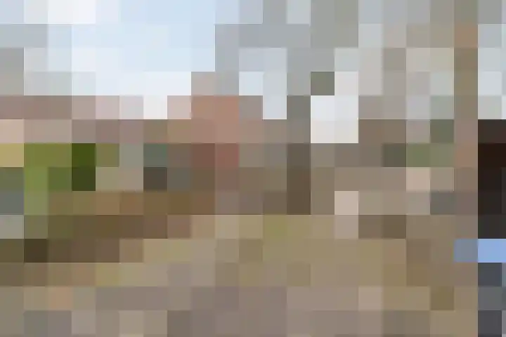 Bosbesstraat 6 A Nijmegen thumbnail 14