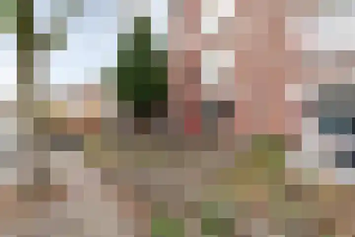 Bosbesstraat 6 A Nijmegen thumbnail 24