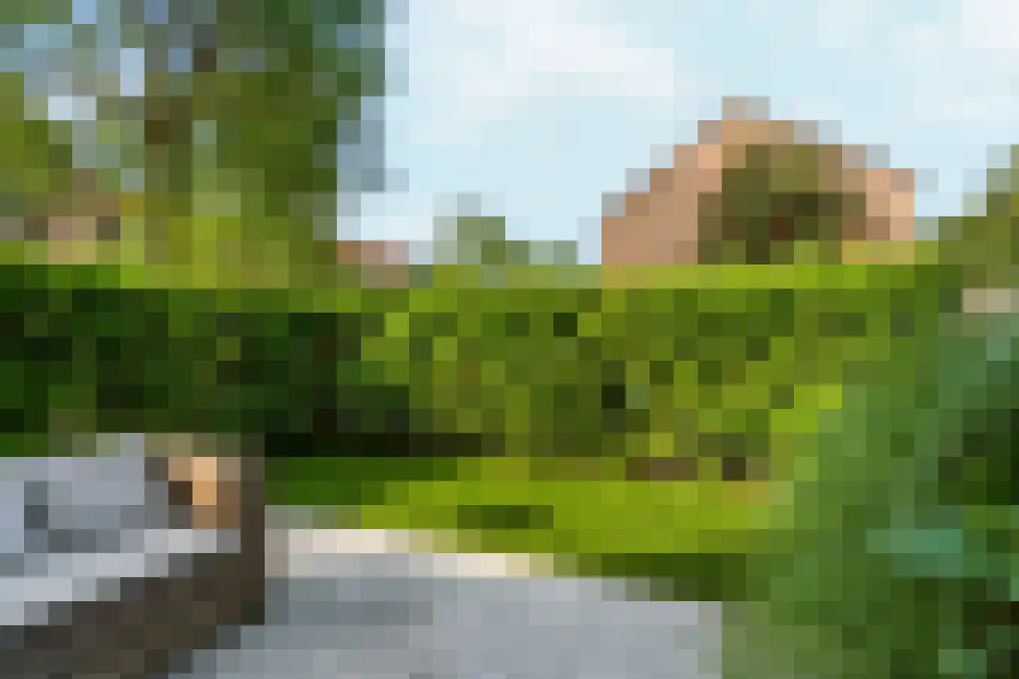 Bosbesstraat 6 C Nijmegen thumbnail 22