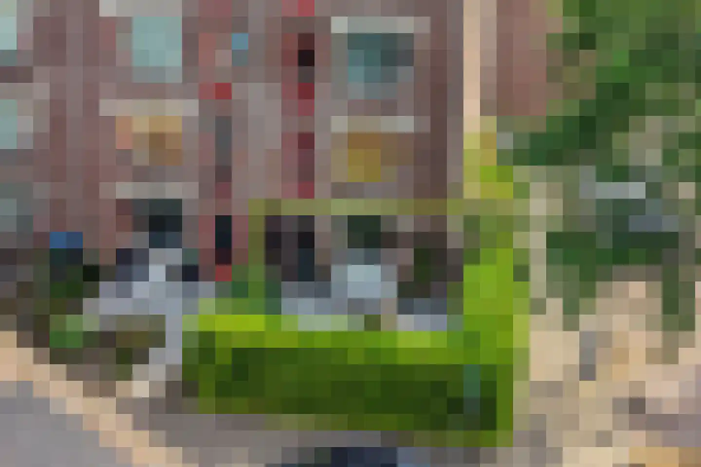 Bosbesstraat 6 C Nijmegen thumbnail 30