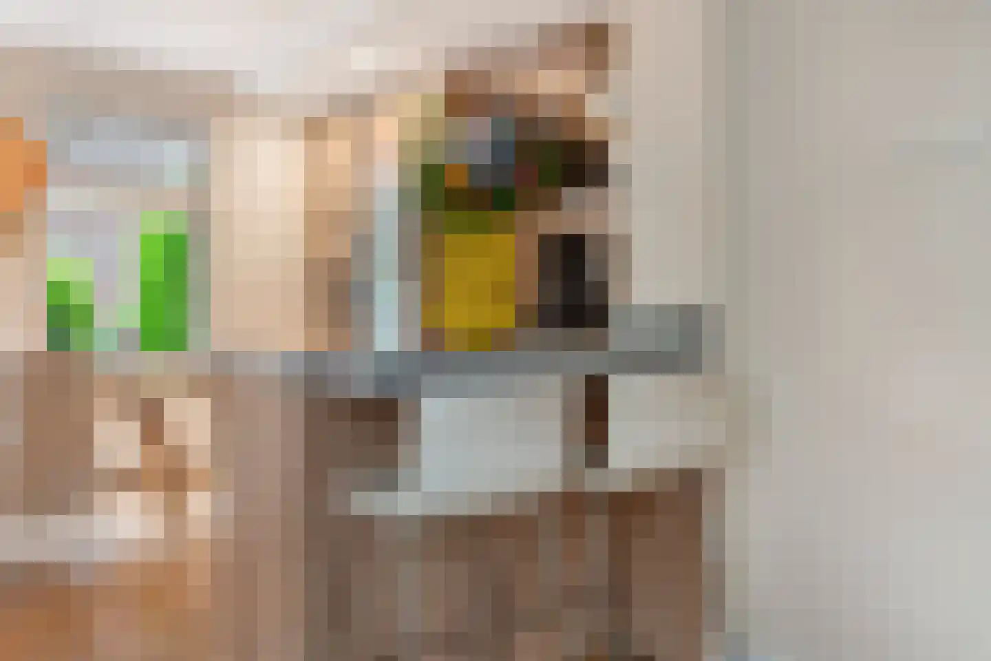 Bosbesstraat 64 Den Haag thumbnail 18