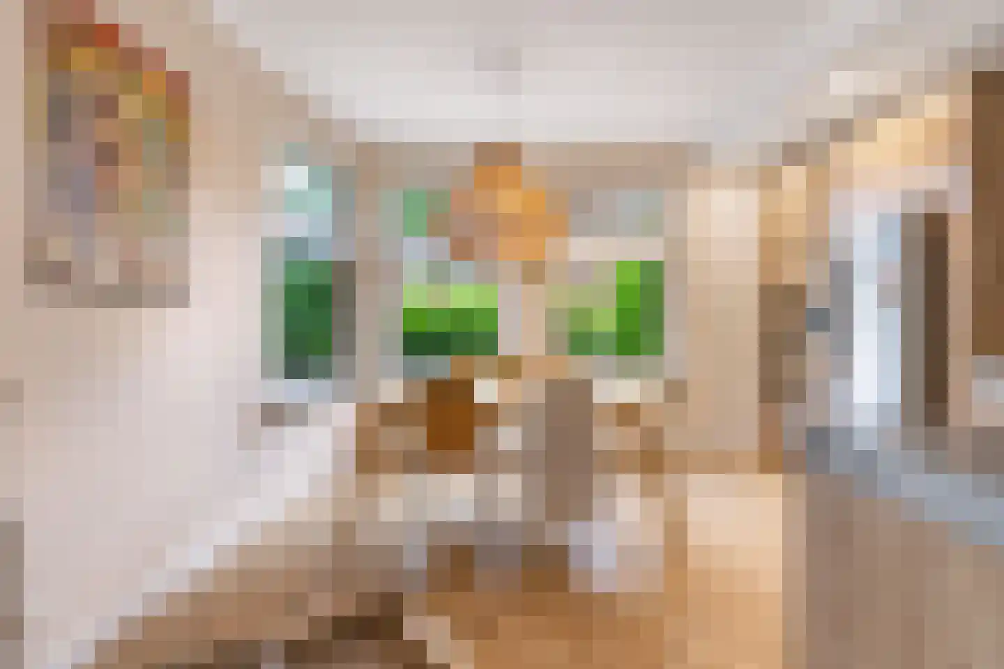 Bosbesstraat 64 Den Haag thumbnail 19