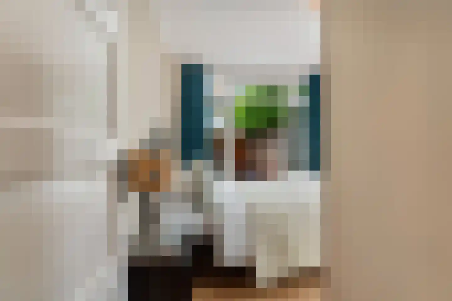 Bosbesstraat 64 Den Haag thumbnail 34