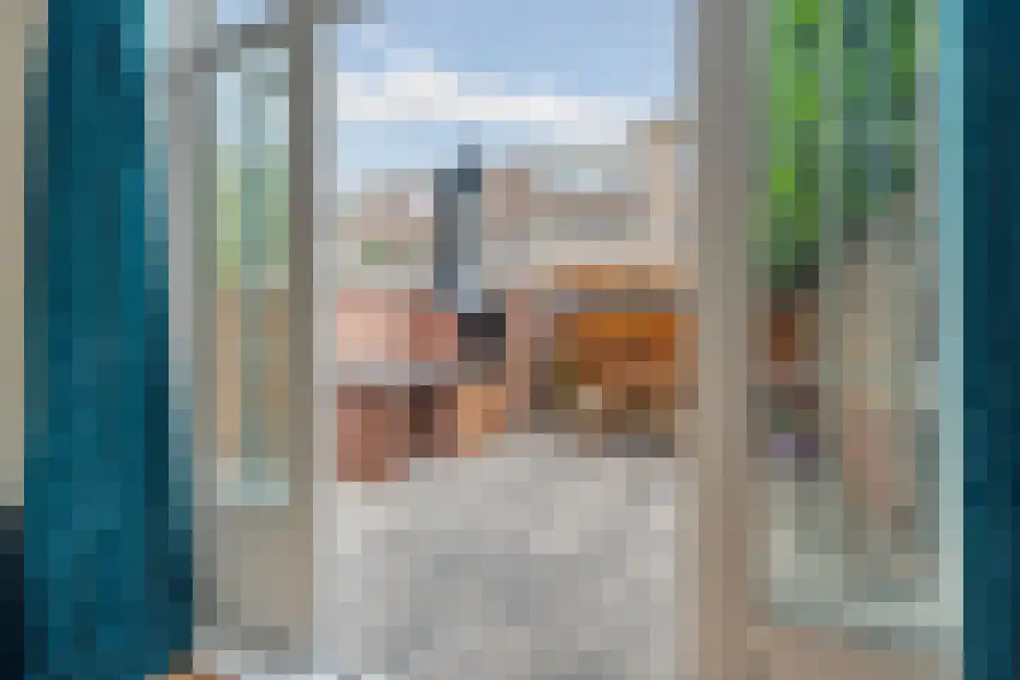 Bosbesstraat 64 Den Haag thumbnail 38