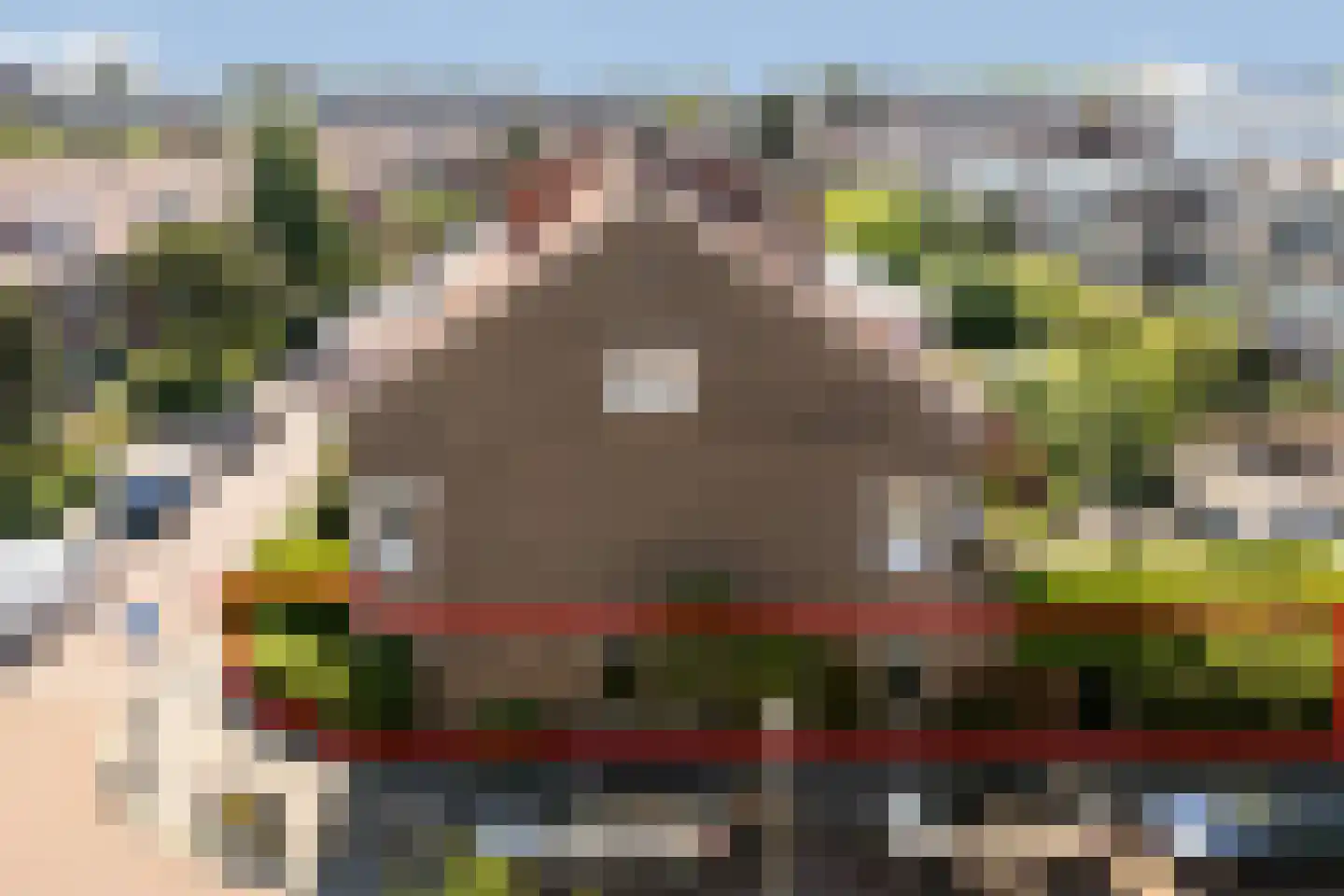Bosbesstraat 64 Den Haag thumbnail 4