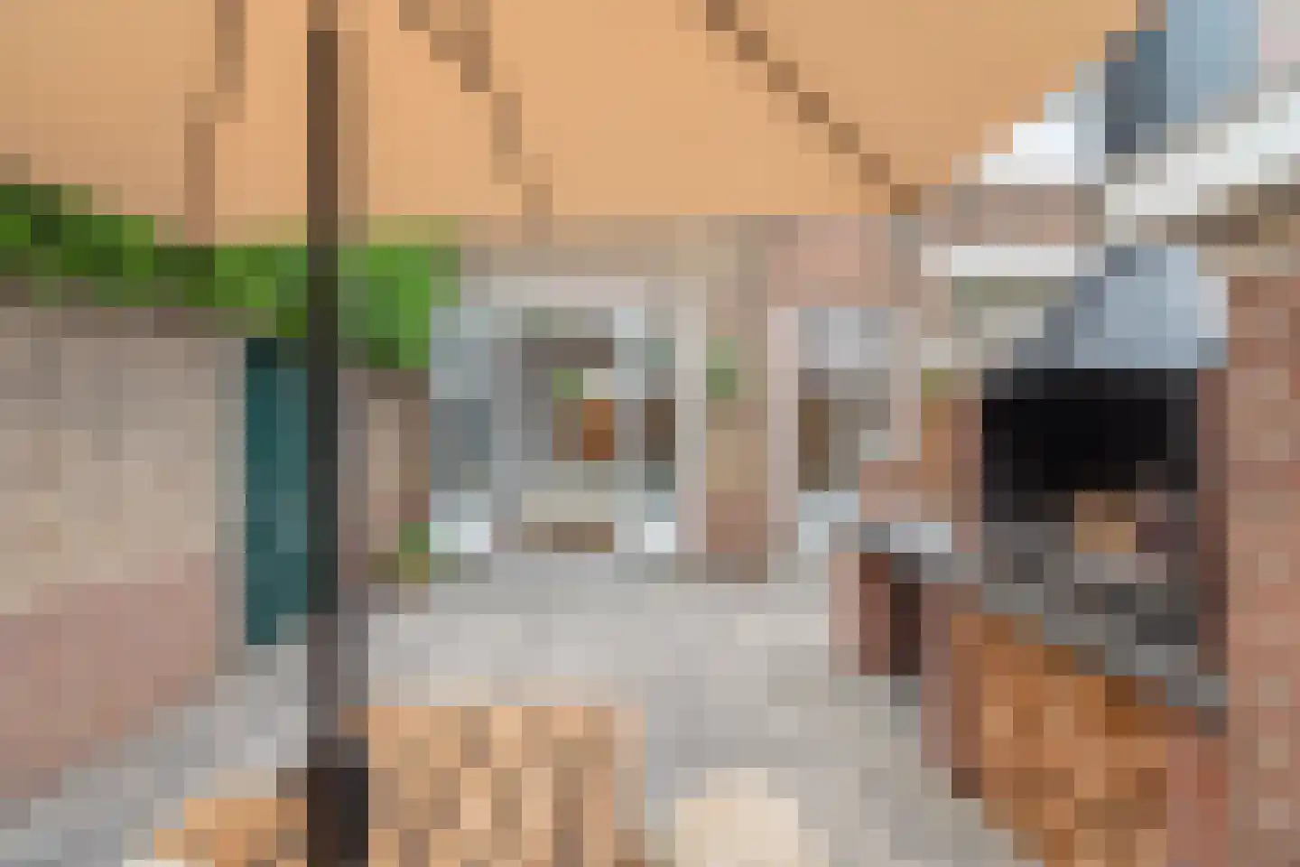 Bosbesstraat 64 Den Haag thumbnail 48