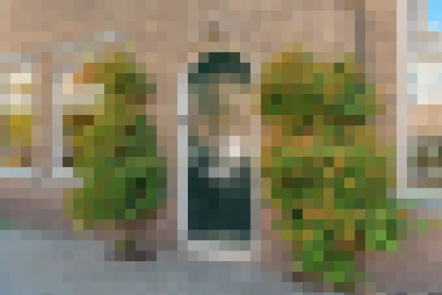 Bosbesstraat 64 Den Haag thumbnail 6
