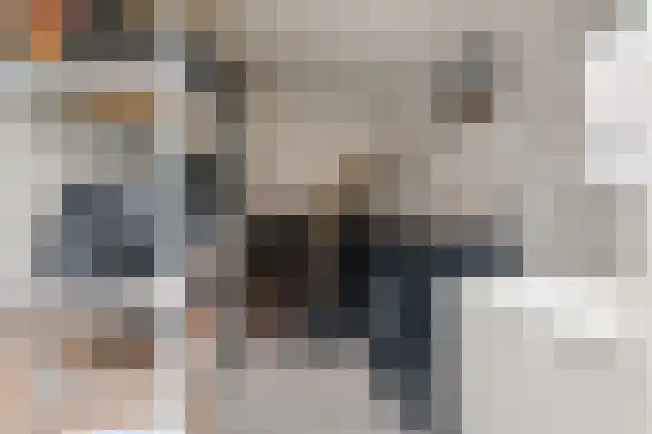 Bosbesstraat 67 Nijmegen thumbnail 38