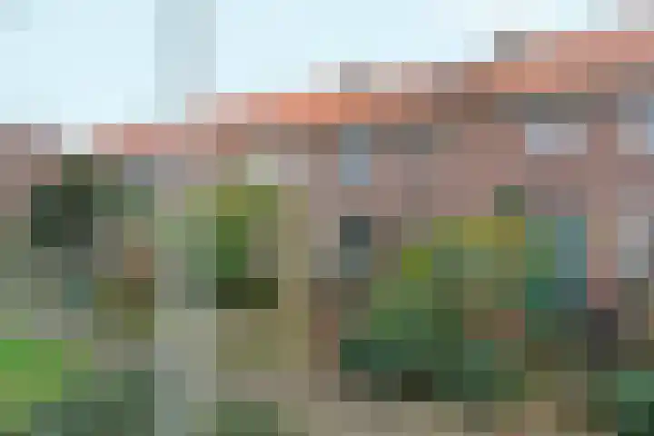 Bosbesstraat 67 Nijmegen thumbnail 39
