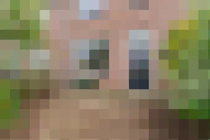 Bosbesstraat 67 Nijmegen thumbnail 6