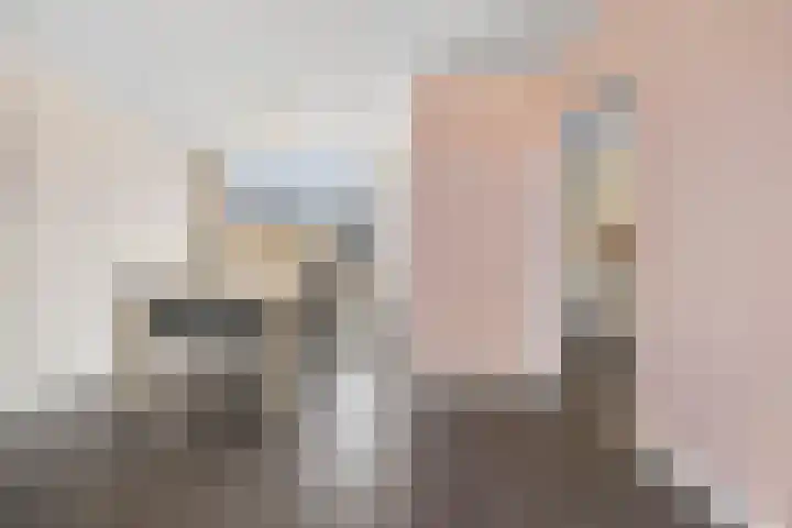 Bosbesstraat 7 Hoogeveen thumbnail 14